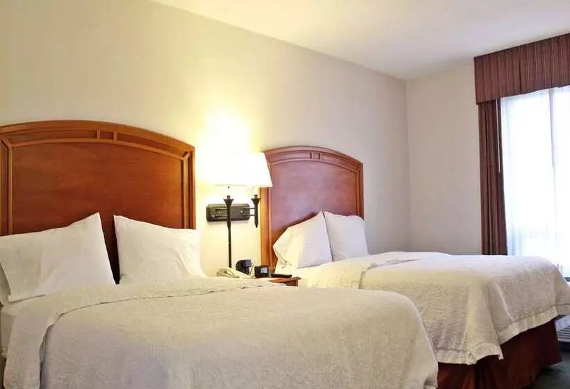 اتاق استاندارد, Hampton by Hilton Saltillo