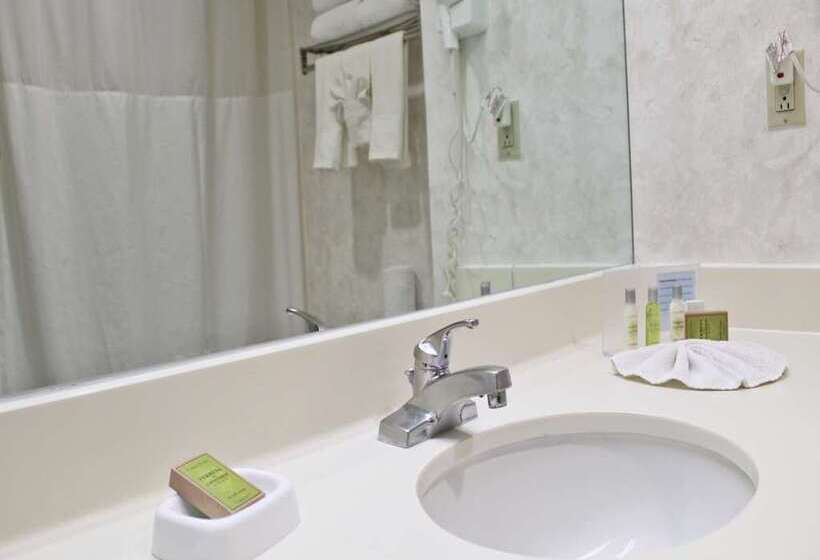 غرفة قياسية, Hampton by Hilton Saltillo Zona Aeropuerto