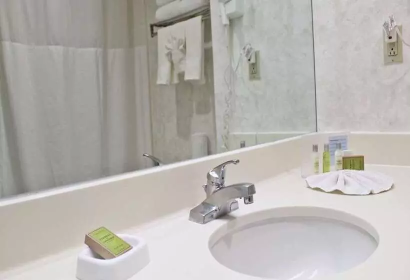 اتاق استاندارد, Hampton by Hilton Saltillo