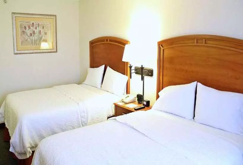 اتاق استاندارد, Hampton by Hilton Saltillo