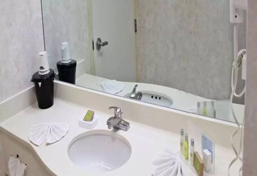 اتاق استاندارد, Hampton by Hilton Saltillo