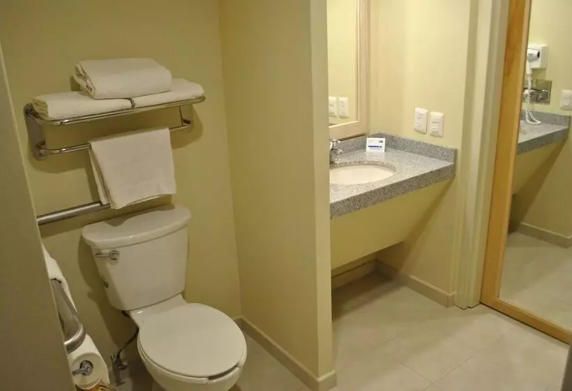 Standard-huone, Holiday Inn Express Toluca, An Ihg