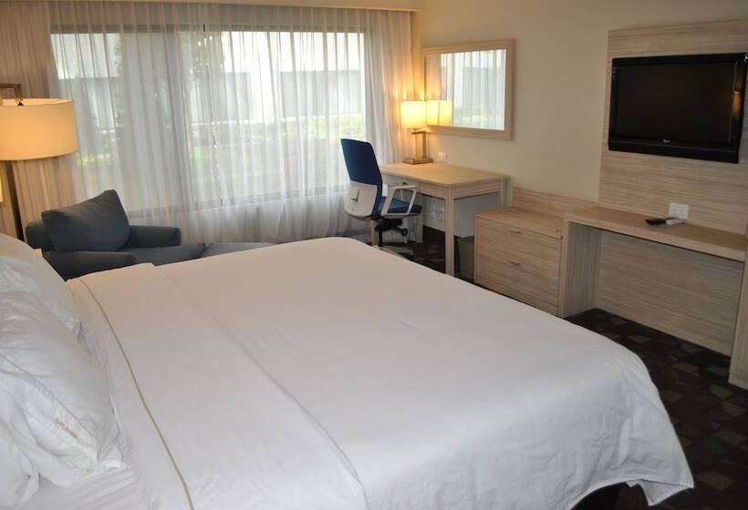 חדר סטנדרט, Holiday Inn Express Toluca, An Ihg