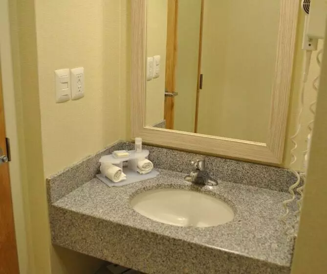 Standard-huone 2 Parivuodetta, Holiday Inn Express Toluca, An Ihg