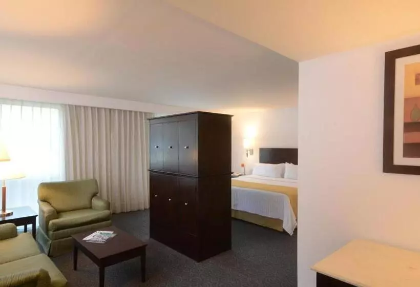 ジュニアスイート, Holiday Inn Monterrey Valle, An Ihg