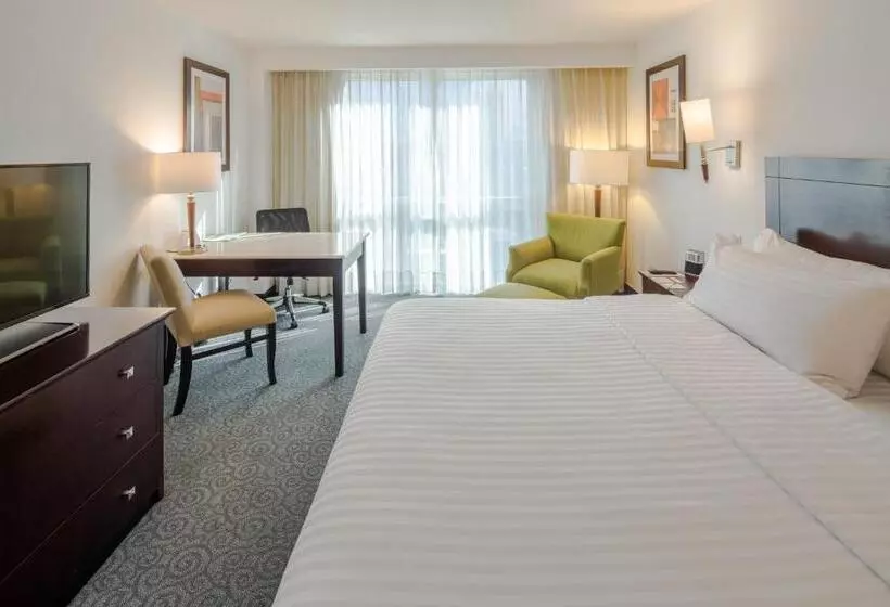 キングサイズベッドのエクゼクティブルーム, Holiday Inn Monterrey Valle, An Ihg