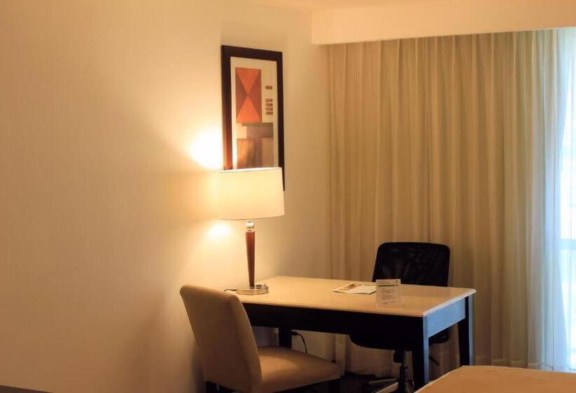 اتاق استاندارد با تخت بزرگ, Holiday Inn Monterrey Valle, An Ihg
