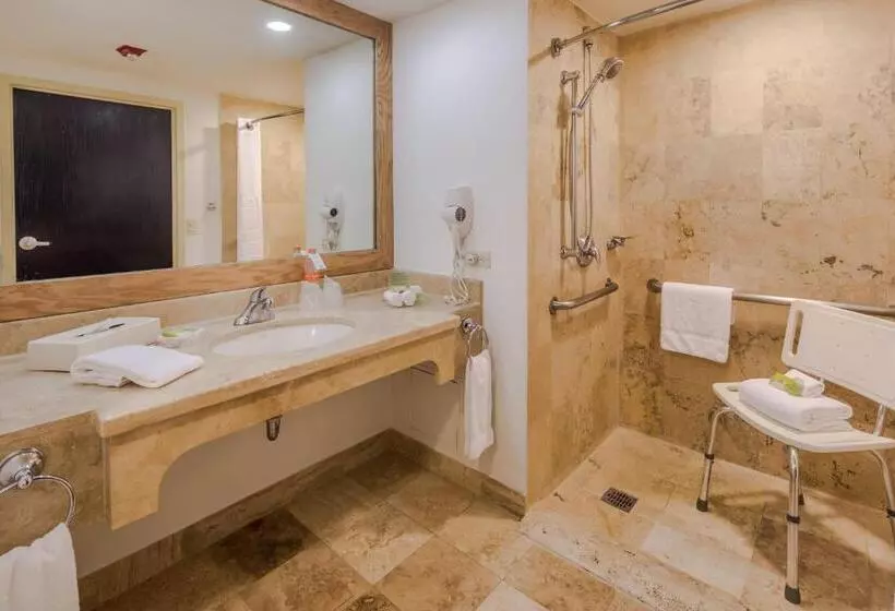 身障者適用キングサイズベッドルーム, Holiday Inn Monterrey Valle, An Ihg