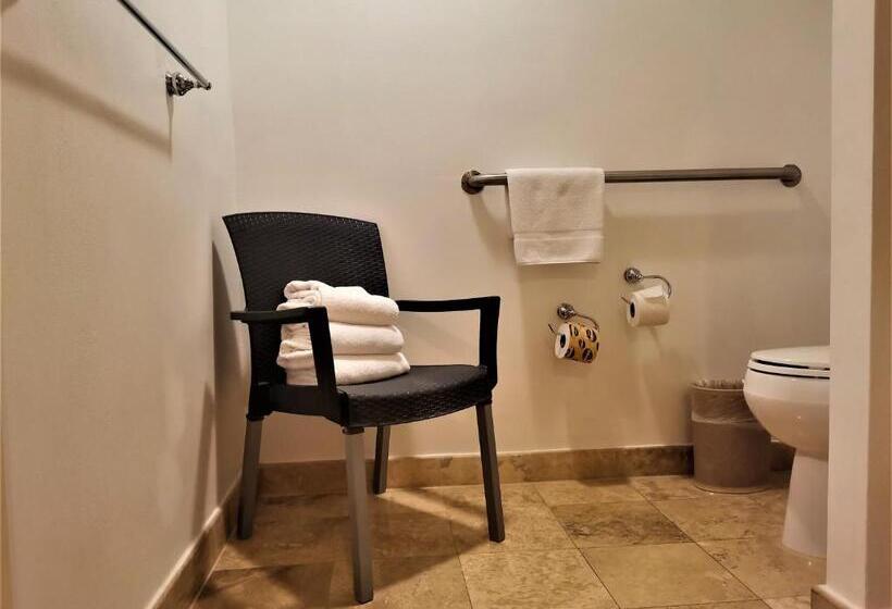 חדר סטנדרט, מיטת קינג, מותאם לאדם עם מוגבלויות, Holiday Inn Monterrey Valle, An Ihg