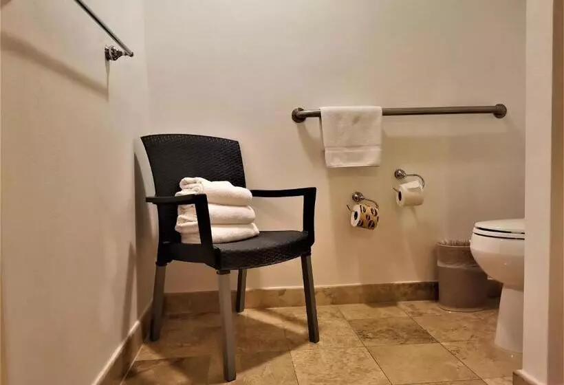 身障者適用キングサイズベッドルーム, Holiday Inn Monterrey Valle, An Ihg