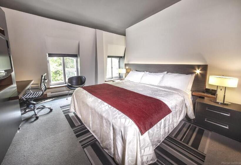 اتاق استاندارد با تخت بزرگ, Le Saint Paul