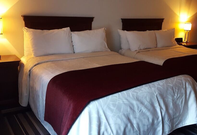 اتاق استاندارد, Le Saint Paul