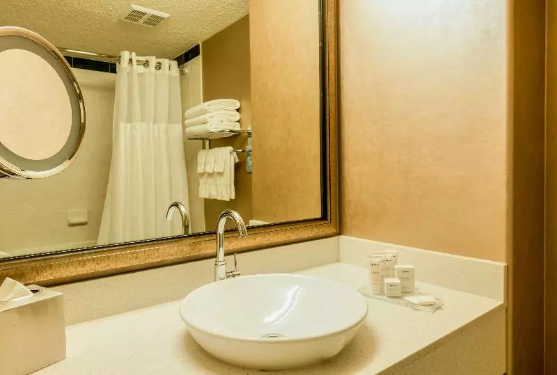 اتاق استاندارد با تخت بزرگ, Radisson Hotel & Suites Fort Mcmurray