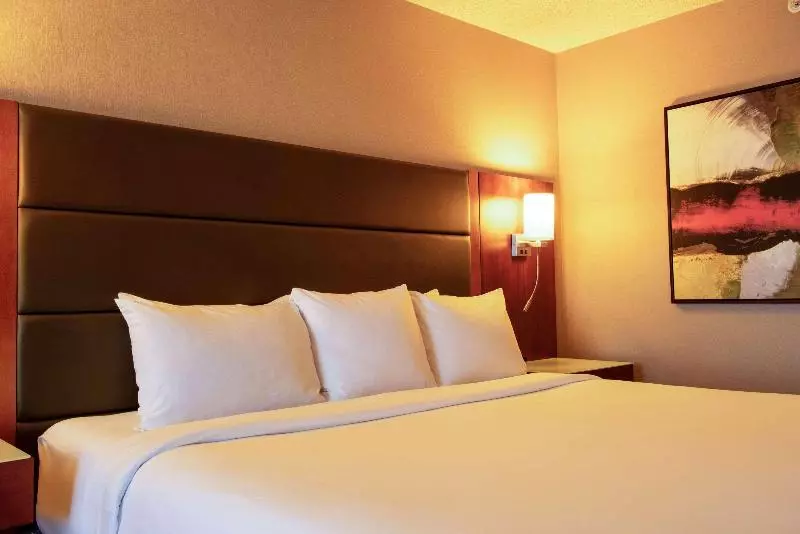 اتاق استاندارد با تخت بزرگ, Radisson Hotel & Suites Fort Mcmurray