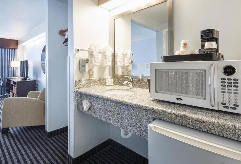 Стандартный Номер Кровать Кинг, Skye San Francisco Airport Sfo Free Shuttle!