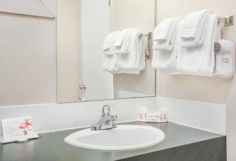 キングサイズベッドのスタンダードルーム, Super 8 By Wyndham Stettler