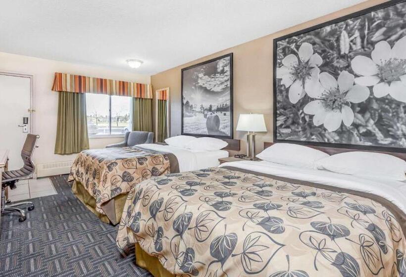 スーペリアールーム, Super 8 By Wyndham Stettler