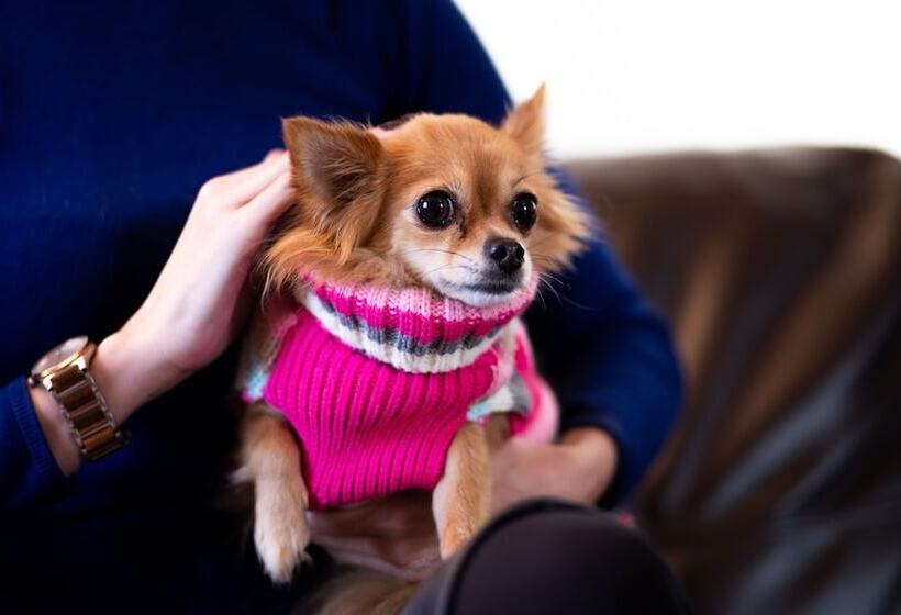 침실 2개 아파트, The Spires Serviced Apartments Aberdeen