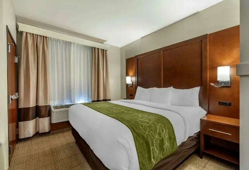 キングサイズベッドのスイートルーム, Comfort Suites