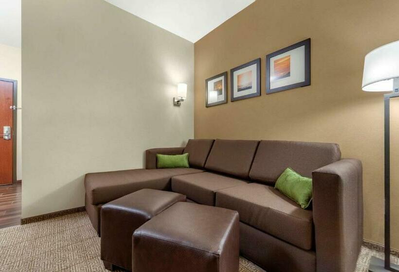 Номер Стандарт Адаптированный для Инвалидов, Comfort Suites