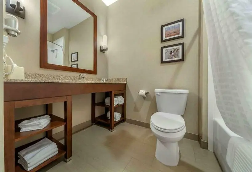キングサイズベッドのスイートルーム, Comfort Suites