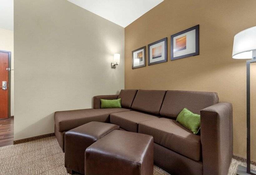 适合残疾人使用的标准间, Comfort Suites