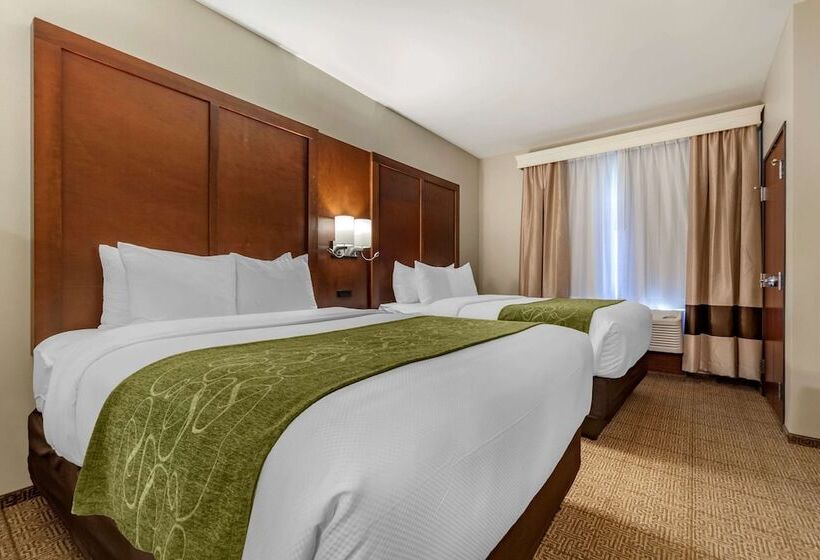 标准间, Comfort Suites