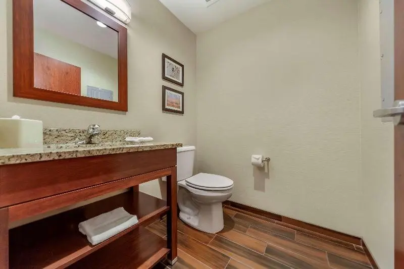 キングサイズベッドのスイートルーム, Comfort Suites
