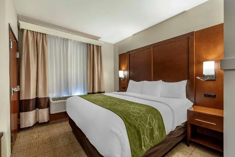キングサイズベッドのスイートルーム, Comfort Suites