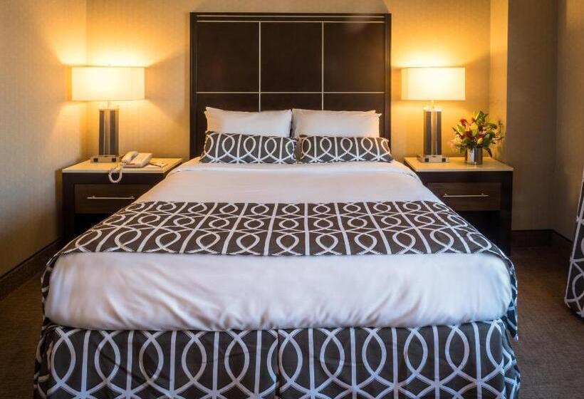 חדר סטנדרט, New Seoul