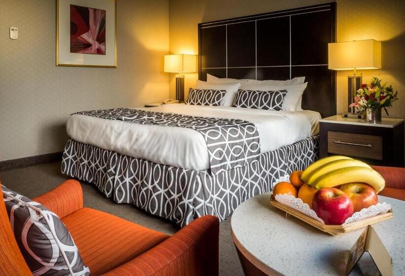 חדר סטנדרט, New Seoul