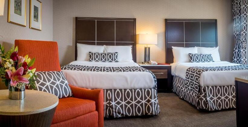 חדר סטנדרט, New Seoul