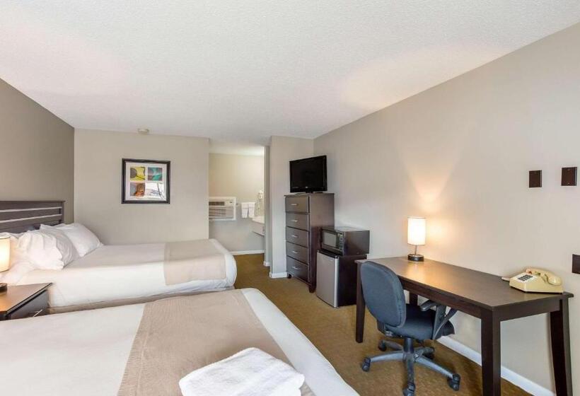 带2个双人床的标准工作室, Rodeway Inn