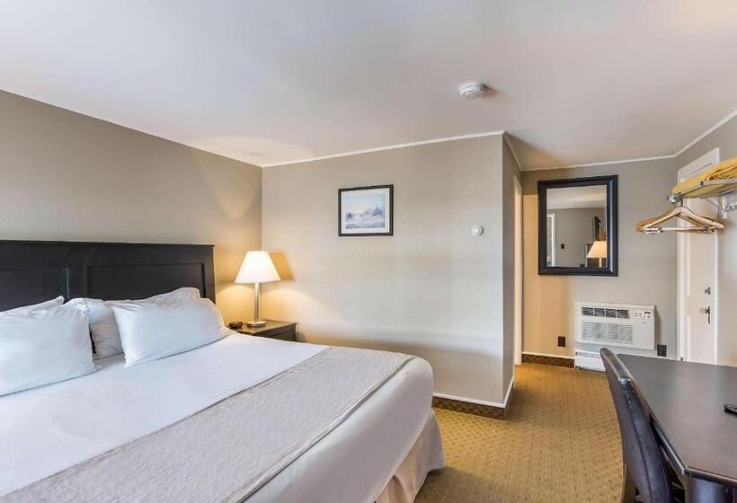غرفة قياسية سرير كينج, Rodeway Inn