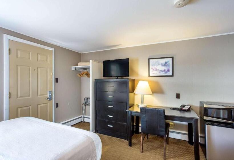 غرفة قياسية, Rodeway Inn