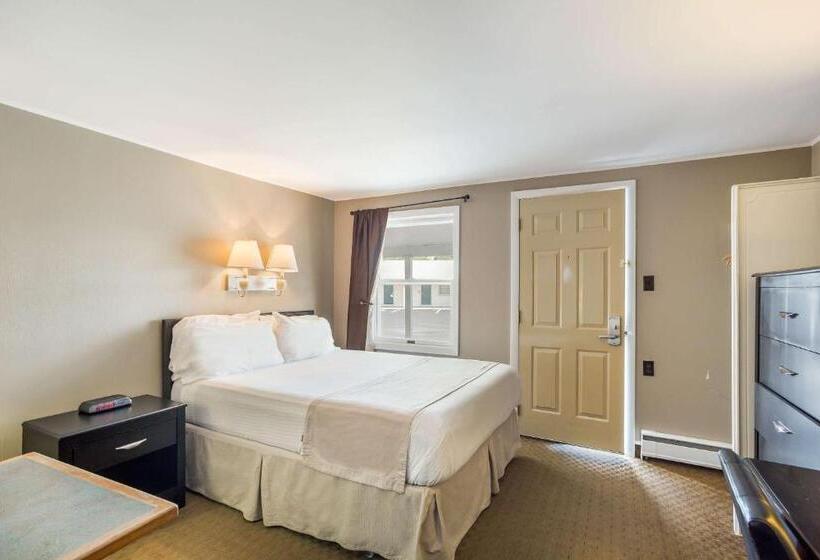 غرفة قياسية, Rodeway Inn