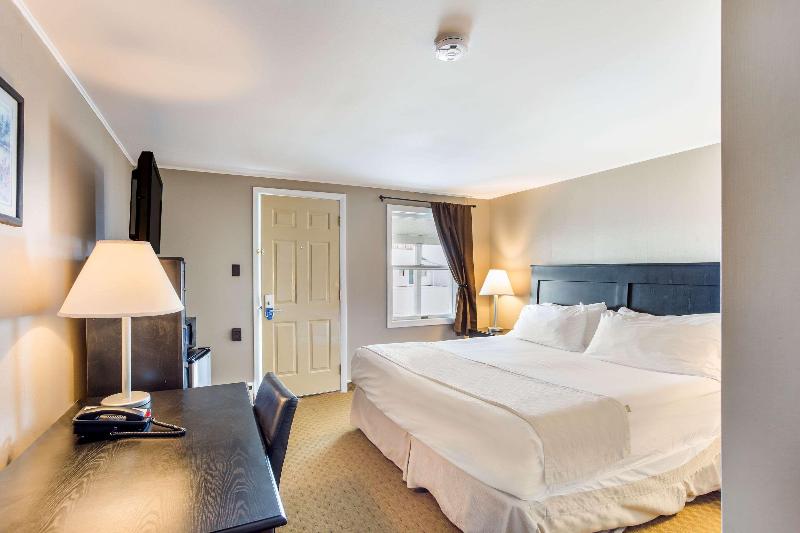 غرفة قياسية سرير كينج, Rodeway Inn