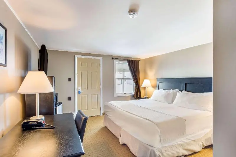 キングサイズベッドのスタンダードルーム, Rodeway Inn