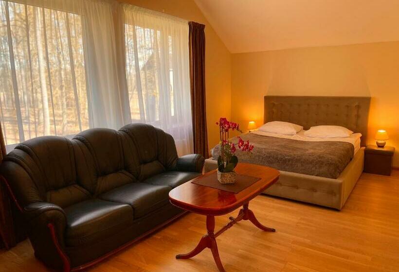 اتاق استاندارد سه نفره, Spa&hotel Mūsa Paradise