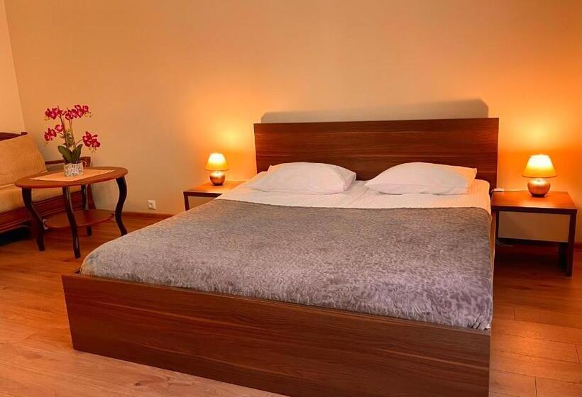 اتاق استاندارد, Spa&hotel Mūsa Paradise