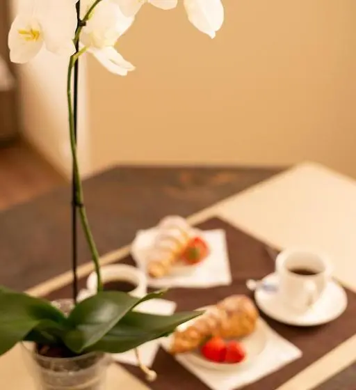 اتاق سوپریور, Spa&hotel Mūsa Paradise