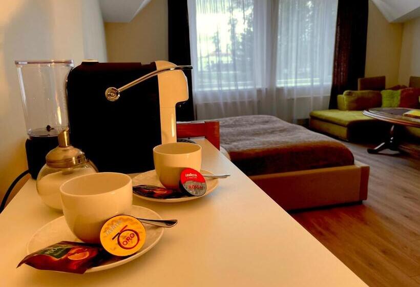 اتاق سوپریور, Spa&hotel Mūsa Paradise