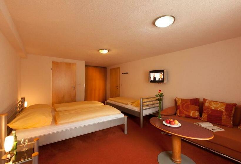 Номер Стандарт, Holzgauerhof