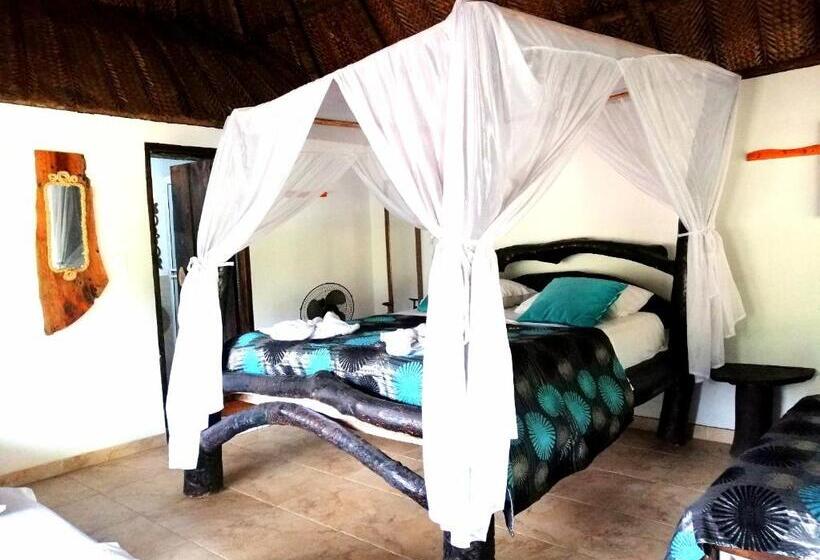 اتاق استاندارد, Villa Cata