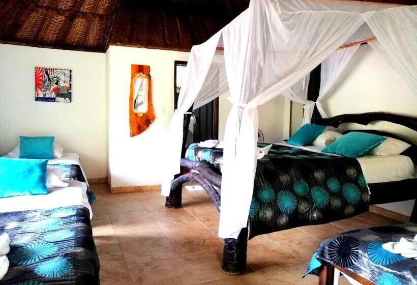 اتاق استاندارد, Villa Cata