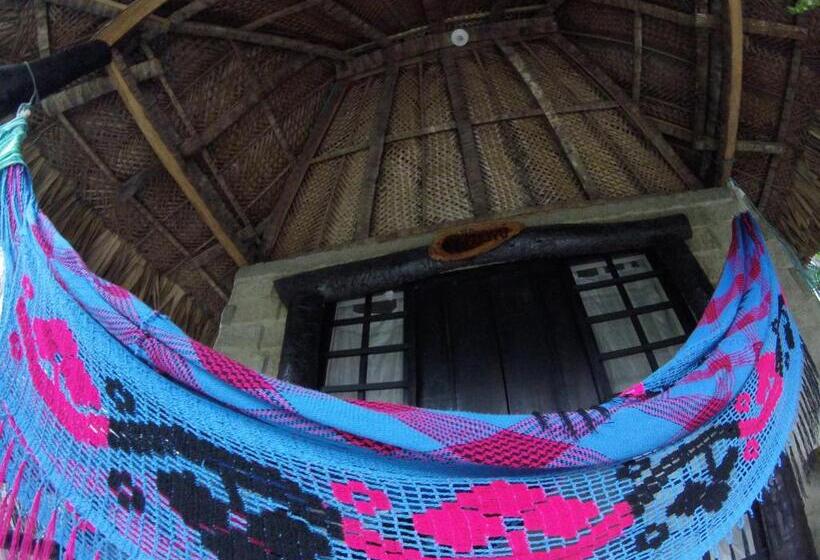 اتاق لوکس, Villa Cata