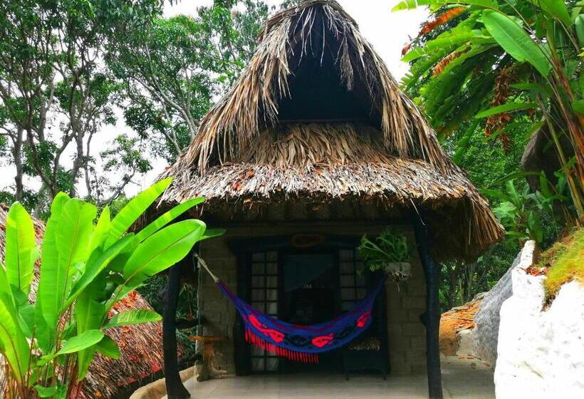 اتاق لوکس, Villa Cata