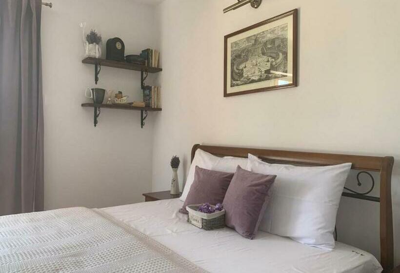استودیوی استاندارد, Ama Guest House