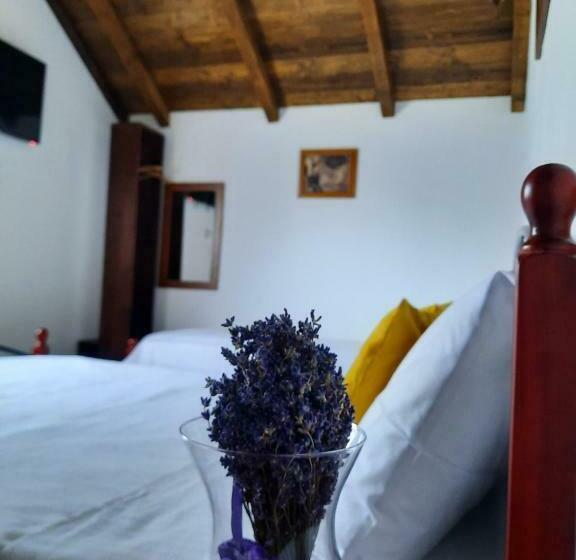 آپارتمان 1 خوابه, Ama Guest House