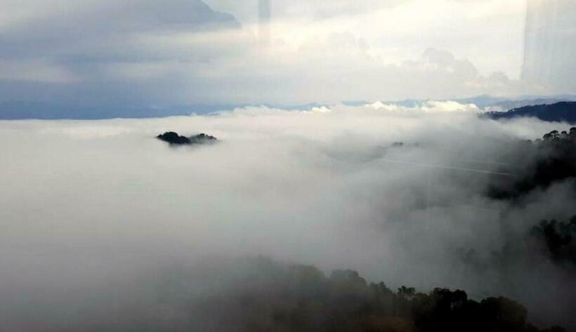 디럭스 스위트, Lemon Tree Hotel, Kasauli